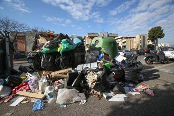 Caldo e rifiuti a Roma, Ordine Medici: “E’ emergenza: rischio larve, topi e blatte”