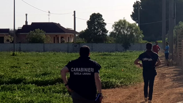 Caporalato. Campagna di accertamenti dei Carabinieri su tutto il territorio nazionale: sanzioni per quasi 5 milioni di euro