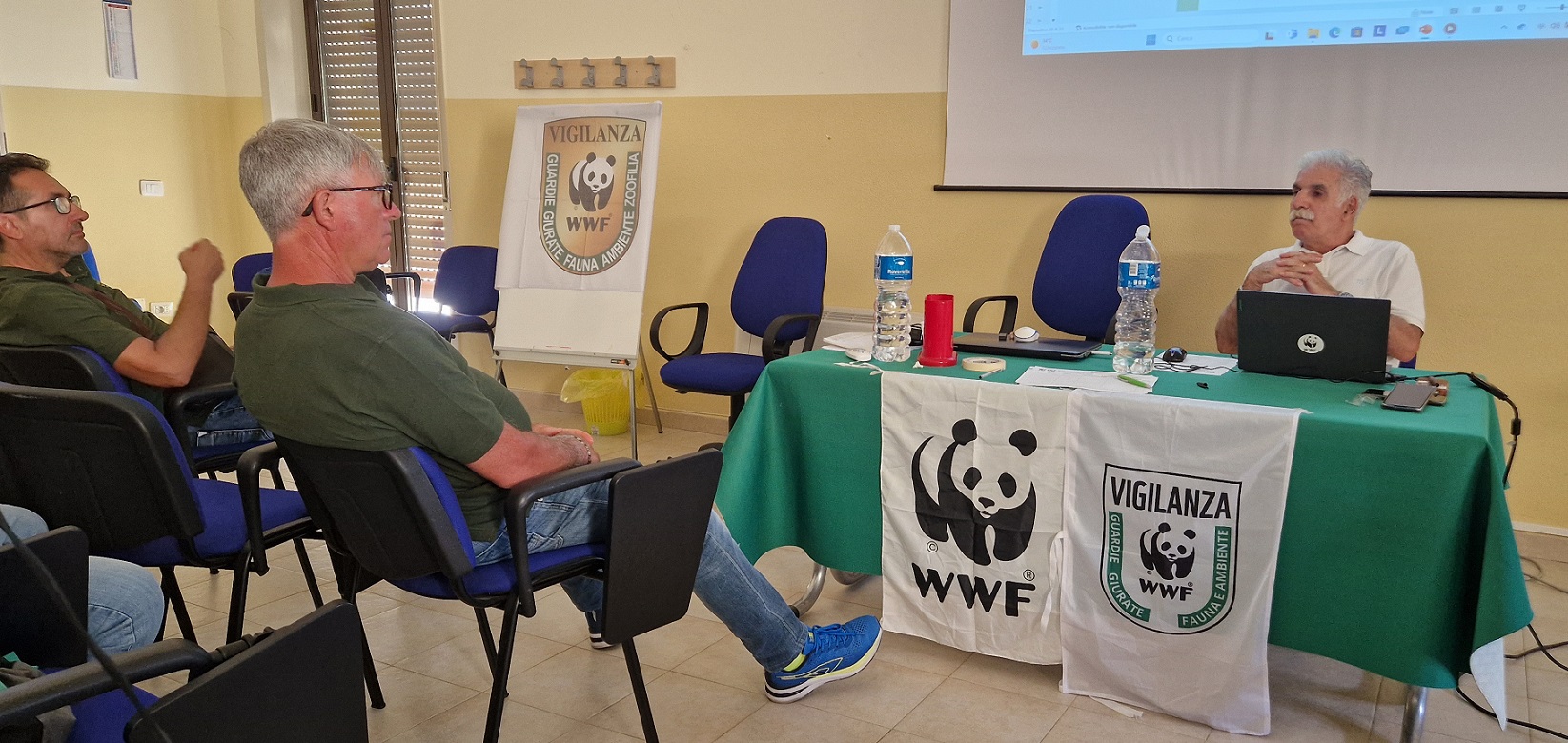 Caltanissetta, ampia partecipazione al corso di aggiornamento del WWF: operatori da tutta la Sicilia per la vigilanza antibracconaggio