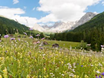 Enogastronomia, la Strada del vino e dei sapori del Trentino forma ambasciatori di eccellenze