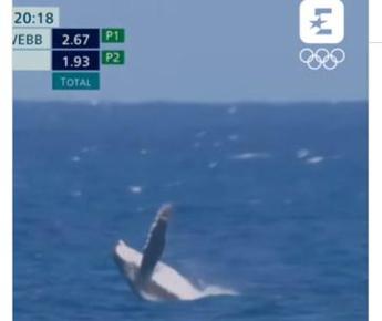 Parigi 2024, c’è anche una balena durante la finale di surf – Video