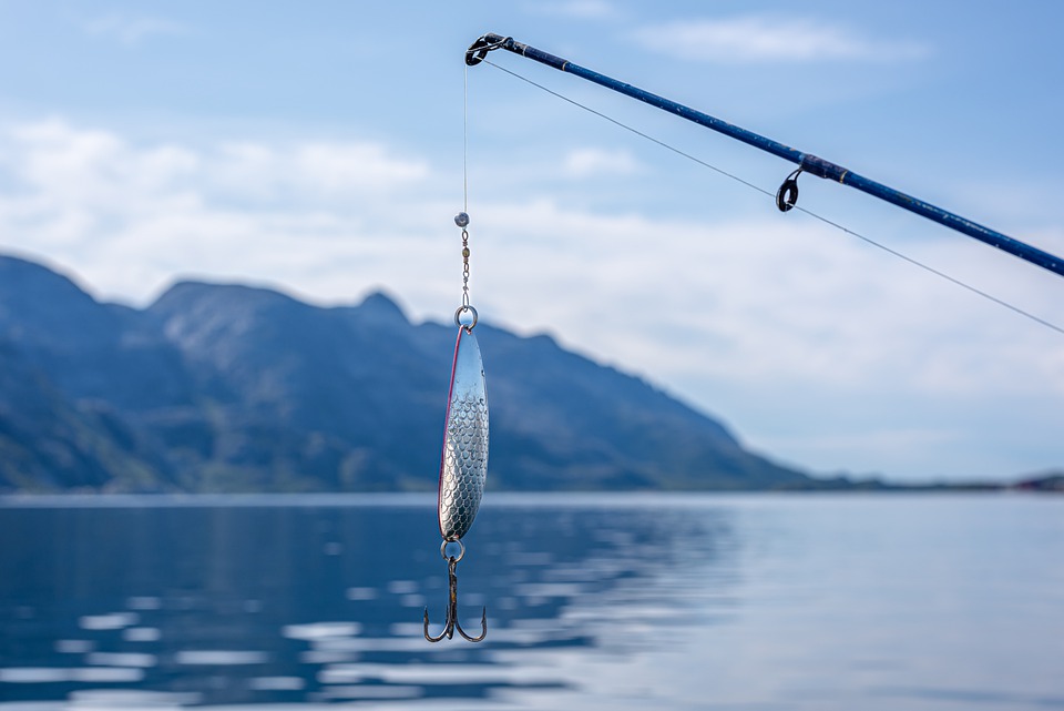 “La pesca e i cambiamenti climatici”, la ricerca di Unci AgroAlimentare