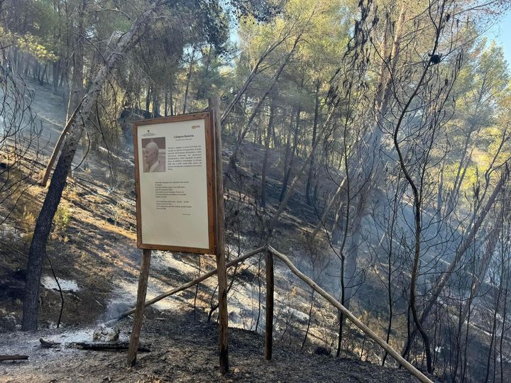 San Cataldo. Tanta emozione per la proiezione di un video sul recente incendio nel sito geo-minerario di Gabara