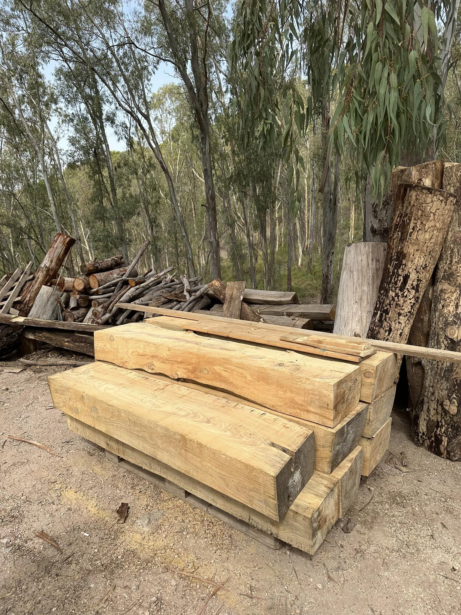 San Cataldo. Ripartita l’azione di recupero del sito geominerario di Gabara: forestali in piena attività