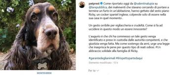 Morte del cane Ricky a Roma, è giallo: si cercano immagini telecamere