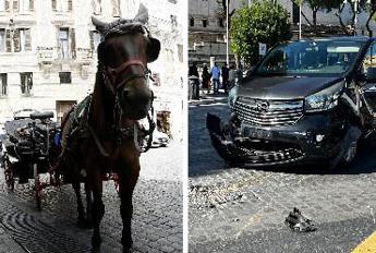 Roma, scontro tra auto e botticella in centro: ferito il cavallo