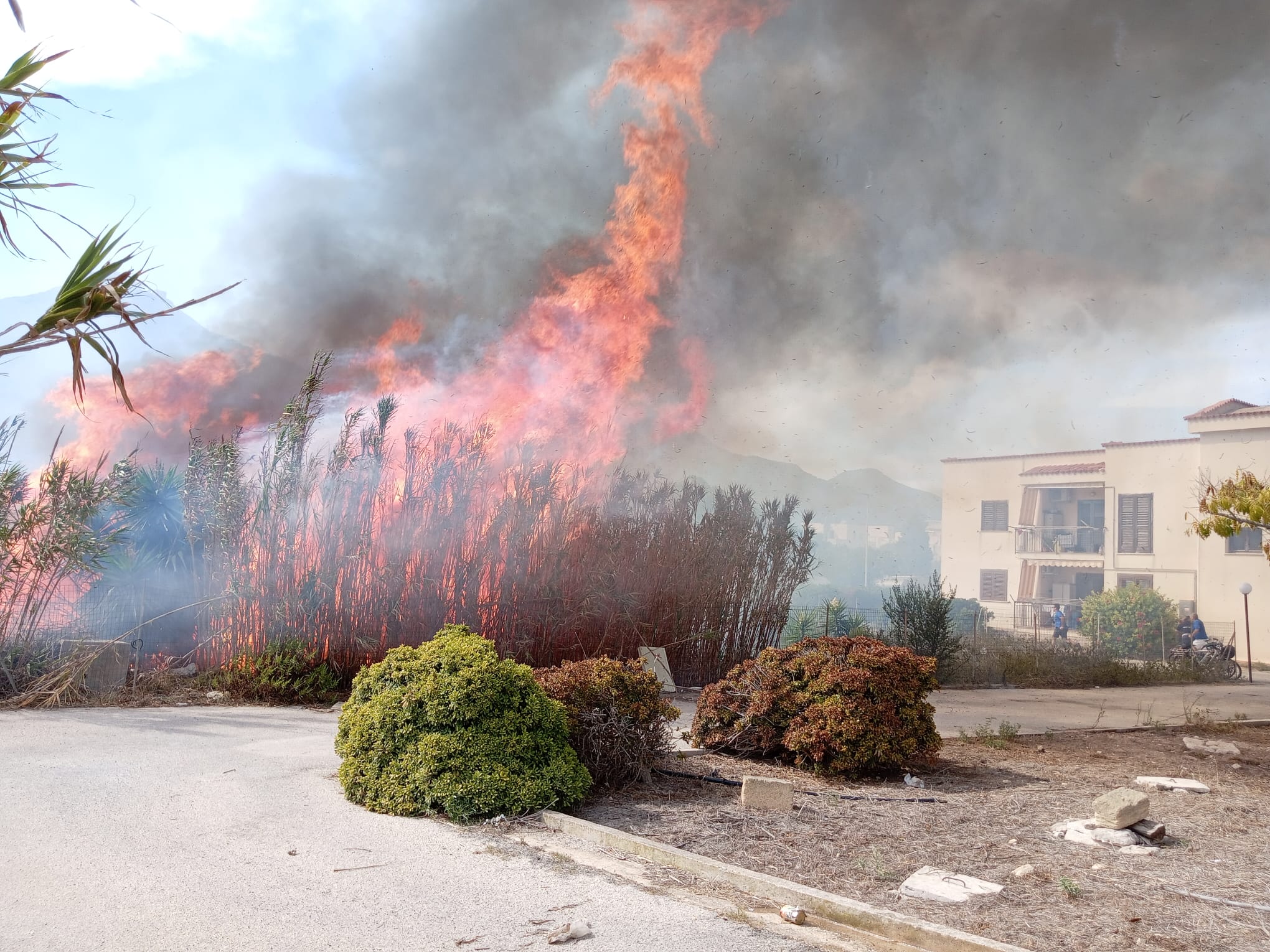 Dà fuoco a sterpaglie provocando un vasto incendio a Favignana: denunciato dai Carabinieri