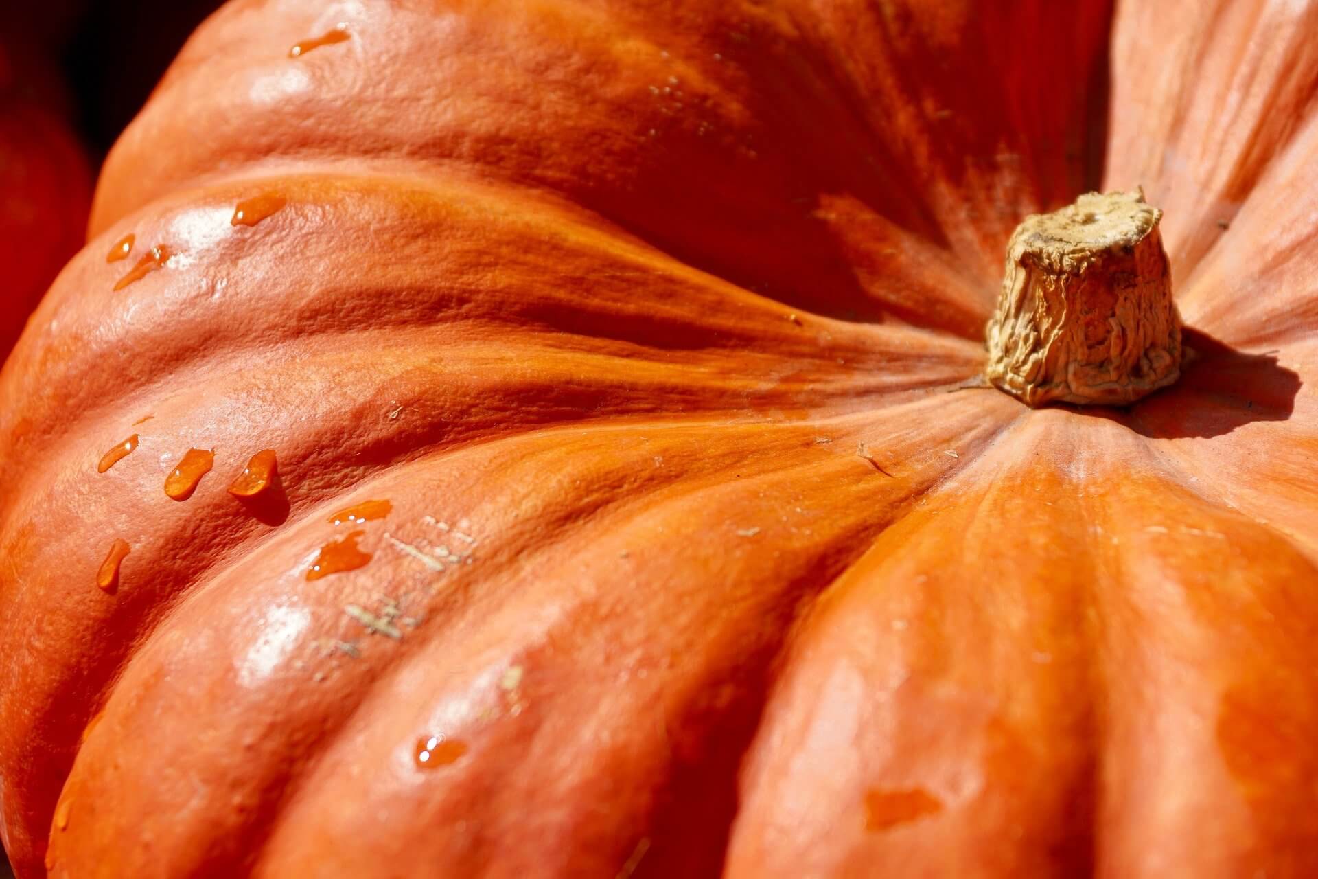 San Cataldo. Il 13 settembre c’è la Sagra della Zucca