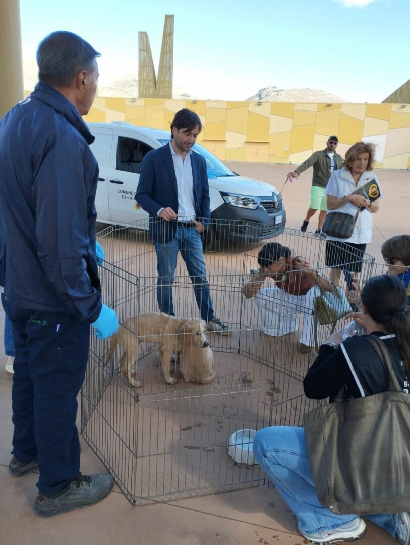 Palermo, Ferrandelli: “Sold out di microchip oggi al centro Conca d’Oro”