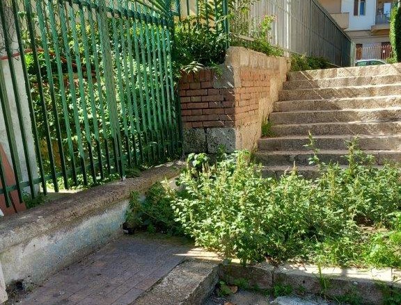 Caltanissetta. La segnalazione. Erbacce in via Rizzo e nella scalinata prospicente il campo di calcetto