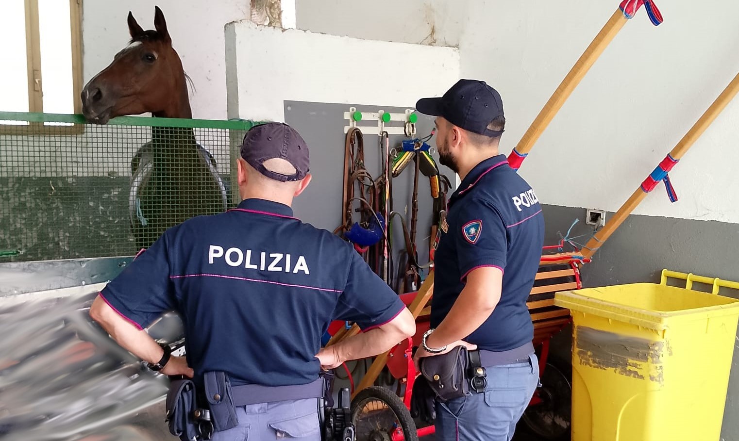 A Catania contrasto della Polizia alle corse clandestine: fermo amministrativo per 6 cavalli, sequestrati farmaci dopanti