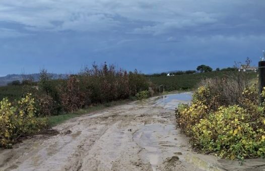 Sicilia travolta dalla pioggia. Allagamenti e disagi alla viabilità, a Caltanissetta isolato il Borgo Santa Rita: l’intervento delle ruspe libera la strada