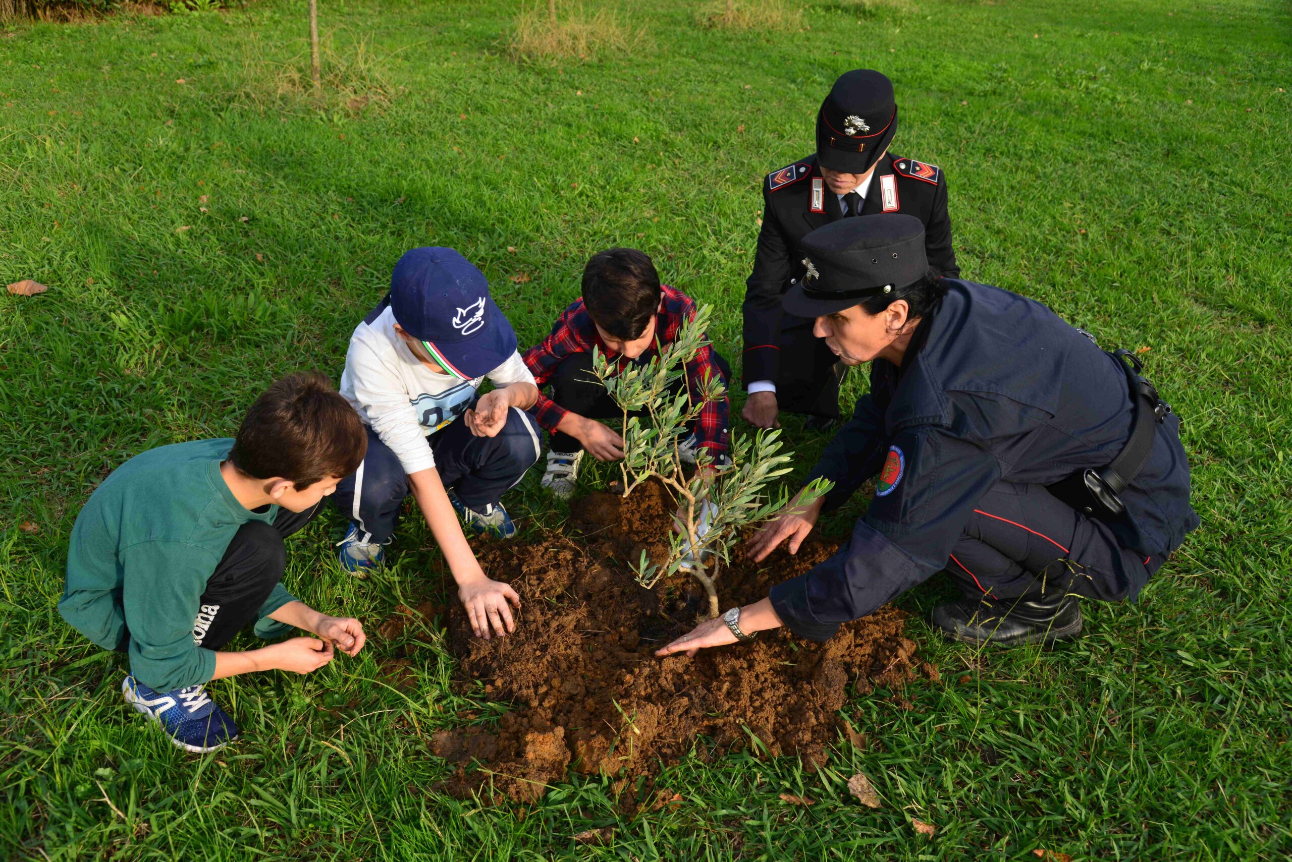 Raggruppamento Carabinieri Biodiversità, il progetto “Un albero per il futuro” approda alle Isole Eolie