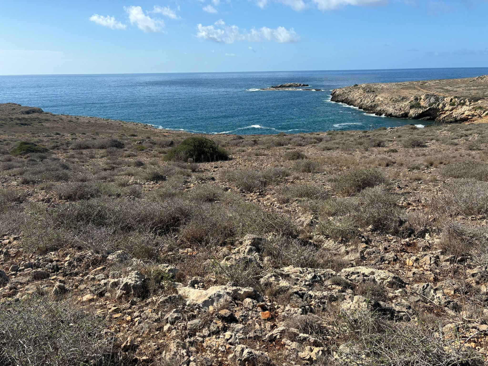 Favignana. Costituito il Comitato spontaneo “Salviamo lo Stornello”