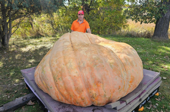 Ecco Rudy, la zucca più grande del mondo: pesa oltre 1 tonnellata