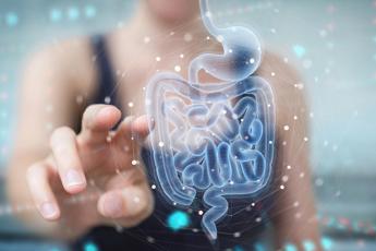 Infarto e ictus possono arrivare dall’intestino: la scoperta italiana