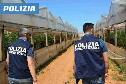 Nel Ragusano controlli anti caporalato della Polizia nelle serre delle aziende agricole