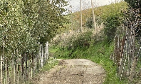 San Cataldo. Trattata in consiglio comunale l’interrogazione del gruppo “Le Spighe” su manutenzione delle strade periferiche