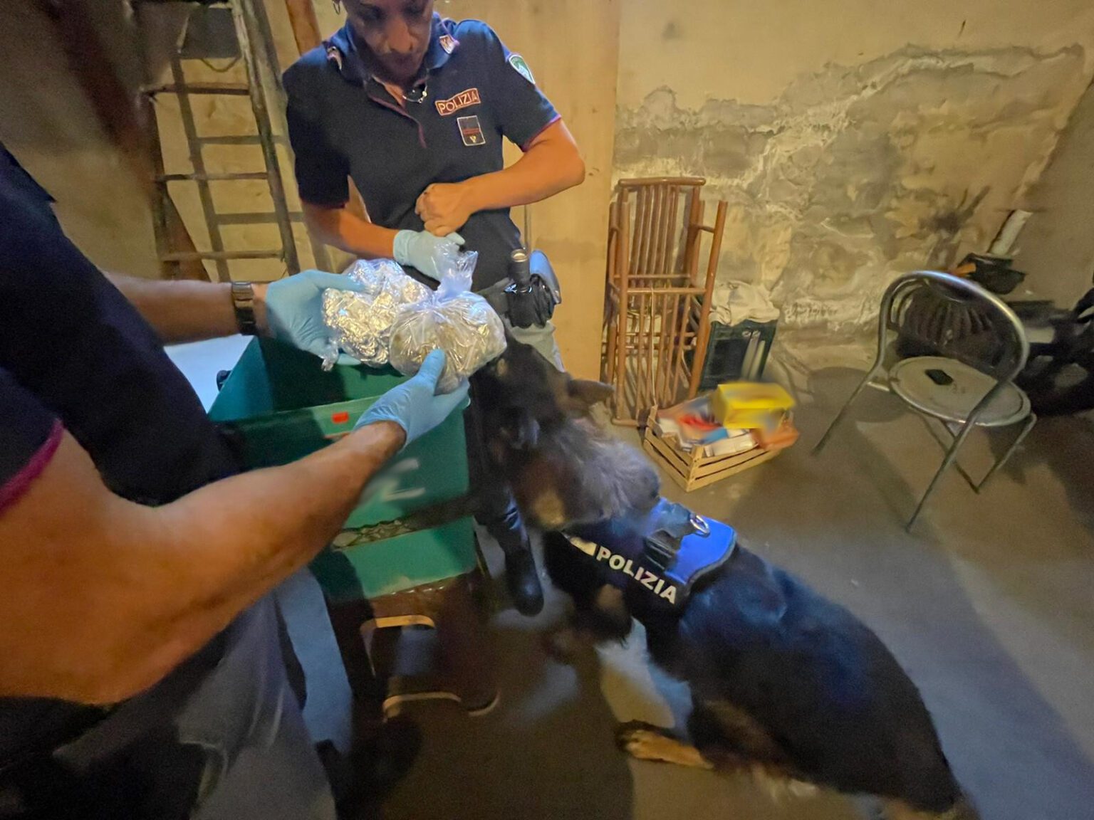 Droga nascosta nello zaino nel frigo di casa: decisivo il fiuto dei cani poliziotto Maui e Ares per individuarla