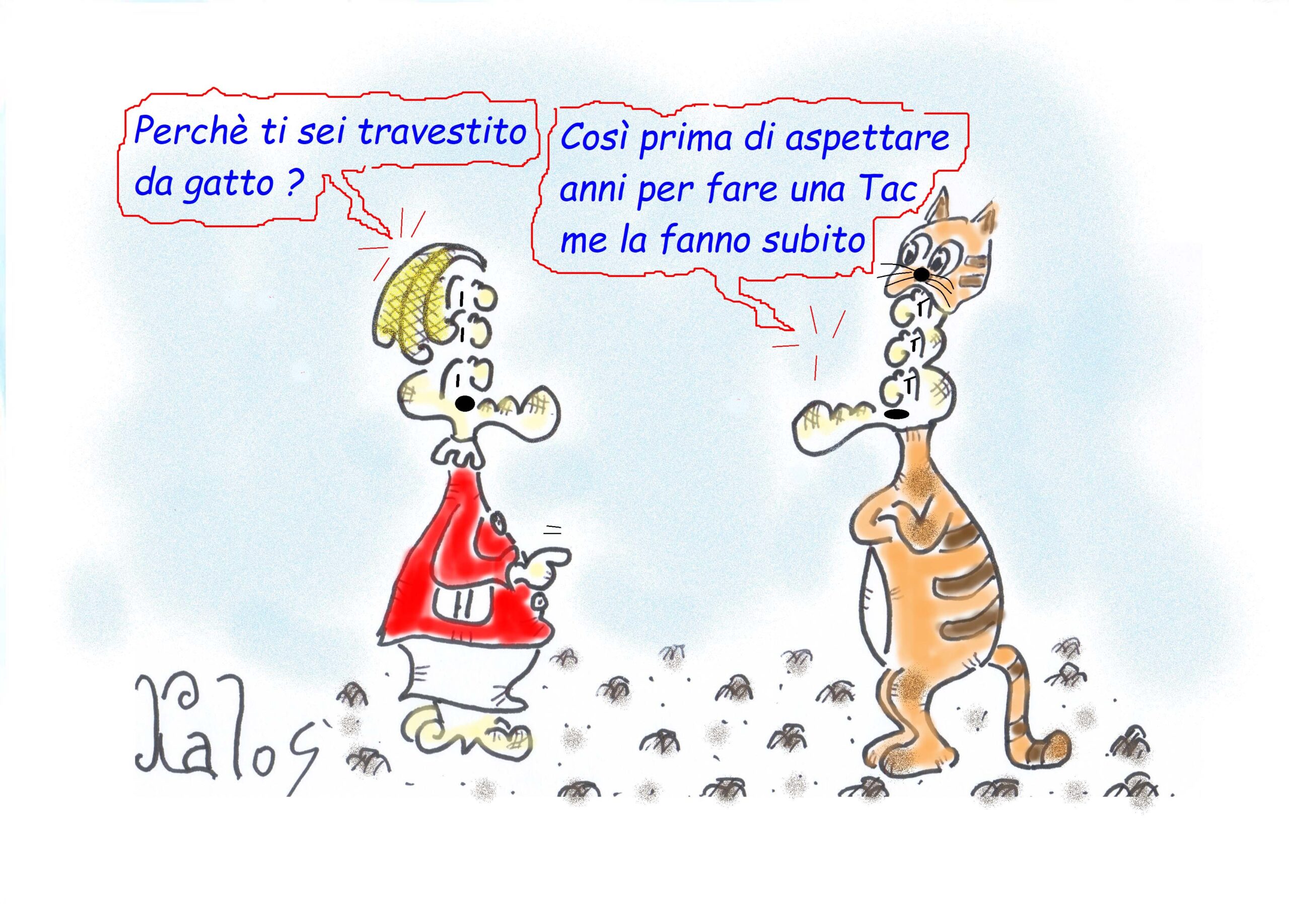 Fa la tacalla sua gatta  in ospedale dove lavora  ma ora si ritrova sotto inchiesta.